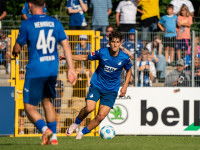 20250526 sap tsg hoffenheim bildergalerie micheler4