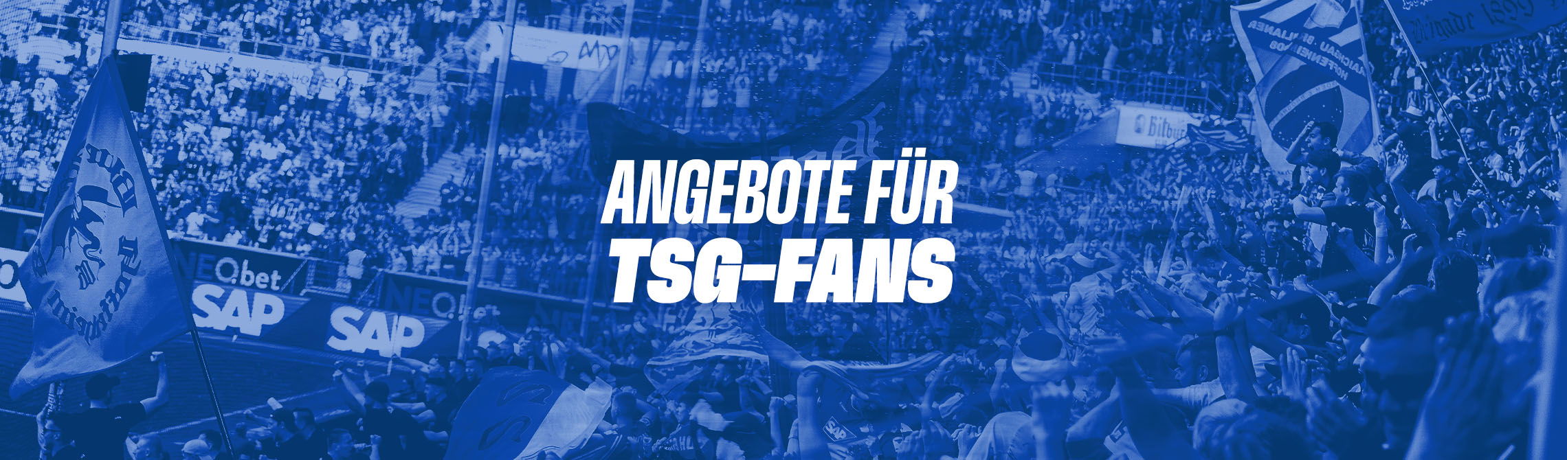 Fanshop » TSG Hoffenheim